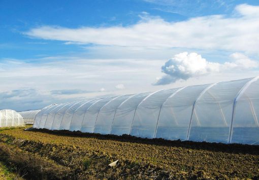 Poza cu Folie solară profesională Pati Italia 160 microni