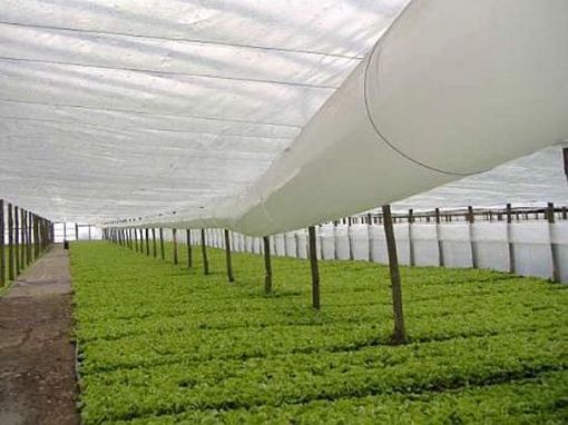 Poza cu Folie termică perforată 4202, tratată UV și IR