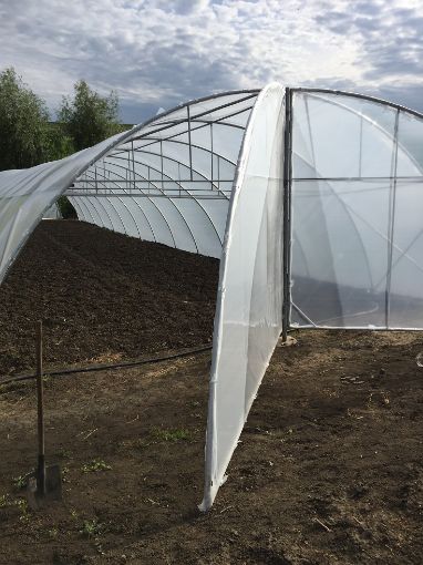 Poza cu Folie pentru solarii Sotrafa Spania 180 microni