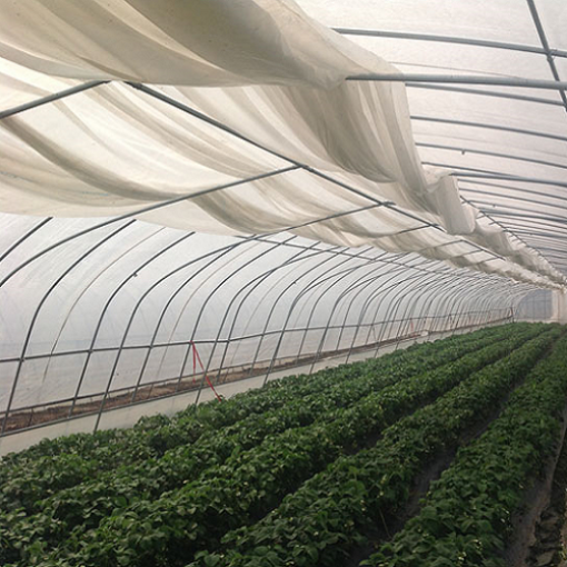 Poza cu Folie termică Sotrafa anti-picurare 50 microni