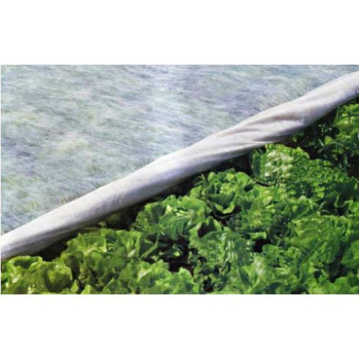 Poza cu Folie microporoasă antiîngheț Agril 23 g/mp – protecție sporită pentru culturi