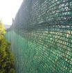 Poza cu Plasă de umbrire 35% verde pentru sere, solarii și grădină