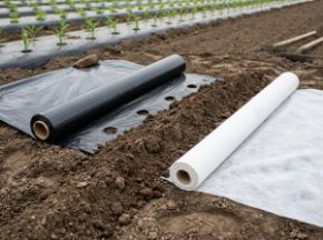 Poza pentru categoria Folie de mulcire & Agrotextil
