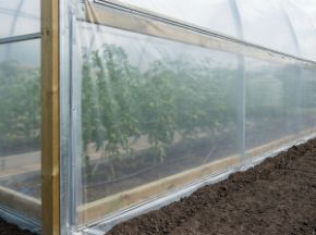 Poza pentru categoria Folie de pereti & folie termică