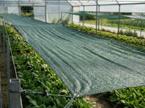 Poza pentru categoria Plase de umbrire