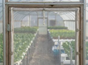 Poza pentru categoria Plase anti-insecte