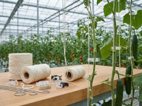 Poza pentru categoria Ata & accesorii de palisare