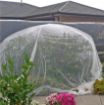 Poza cu Plasă anti-insecte GeoInsect20 HDPE pentru culturi, sere și grădină