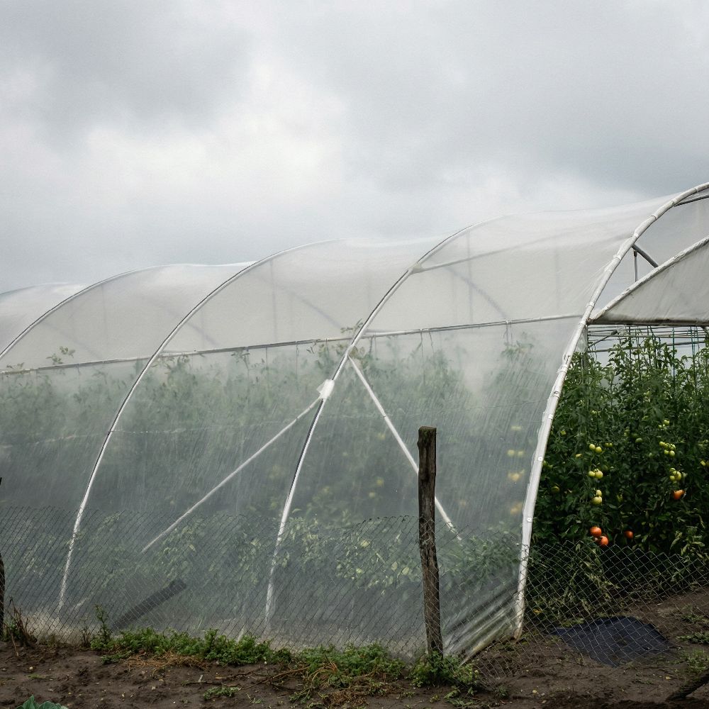 Solar profesional cu ventilație pe capete - imagine 2