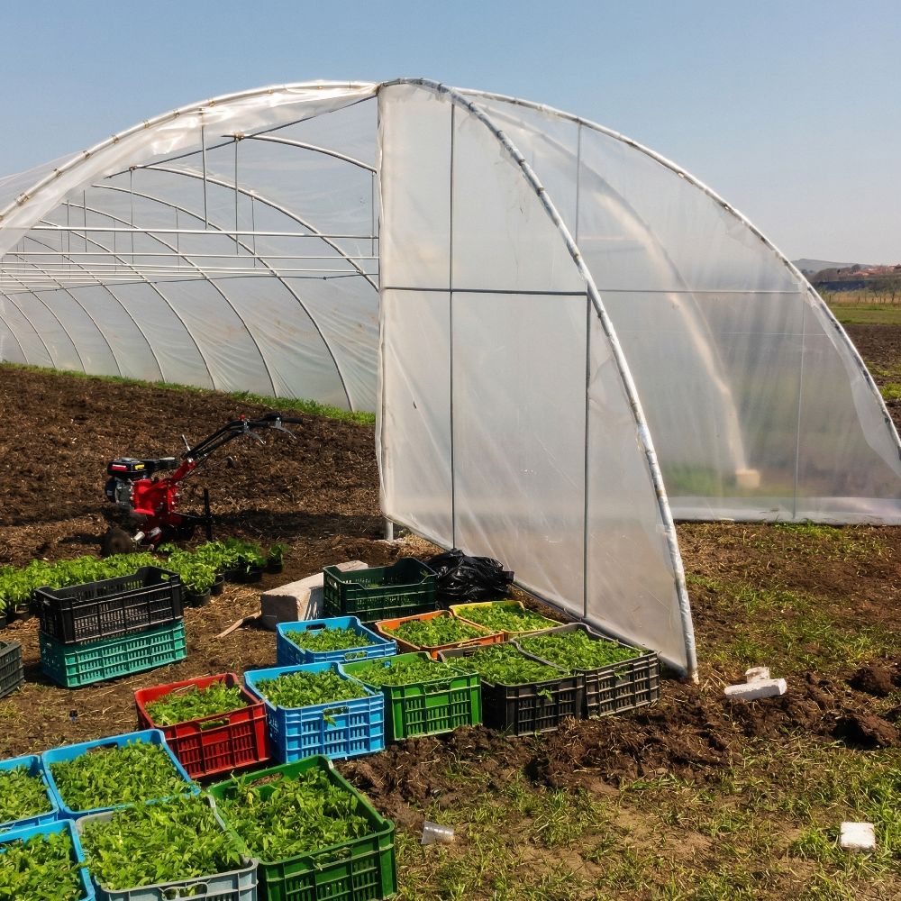 Solar profesional cu ventilație pe capete - imagine 1